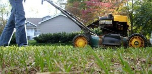 ask-julie-how-mow-your-lawn-last-time-fall