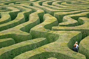 grass_maze1