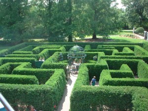 Hedge_Maze,_St_Louis_Botanical_Gardens_(St_Louis,_Missouri_-_June_2003)