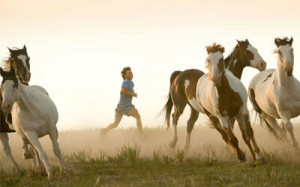 man-running-with-horses-785672