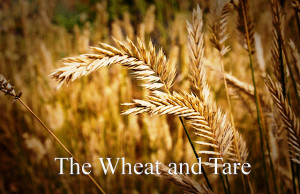wheatandtare