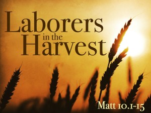 laborers-for-the-harvest