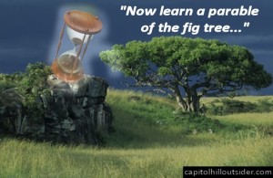 parable-of-the-fig-tree[1]